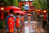 京都・祇園の舞妓ら 雨中の「お千度」で芸と無病息災を祈願