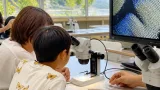 松江で昆虫観察教室 顕微鏡でチョウの鱗粉を観察