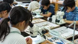 松江で夏休み：小学生がチョウの羽の模様を観察する教室開く