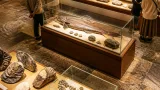 松江・来待ストーンで島根の化石76点を公開 深海魚の初展示も