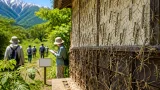 松本・アルプス公園でナナフシモドキが急増 被害の可能性に注意