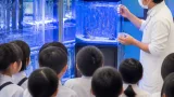 松山で児童がバックヤード見学 水族館の飼育現場を体験