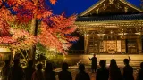 三井寺で国宝内陣を夜間特別拝観、紅葉ライトアップも限定公開