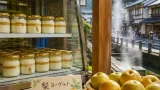 三朝の乳製品店が県産梨を使った秋冬限定ヨーグルト発売