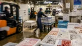 水戸の卸売市場で老舗仲卸が後継者募集、雇用と供給に影響