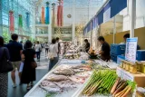 宮城県庁で物産展 地場の海山の恵みを県内外に発信