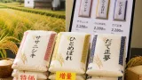 宮城県産米22商品を特価・増量販売