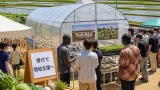 宮崎の農業ノウハウがガーナの給食を支える新たな連携