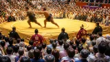 名古屋場所で議論を呼んだ阿炎の立ち合い 地元ファンの反応と今後