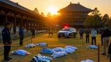 奈良公園で子ジカ死骸4体、人的関与の可能性で警戒強化