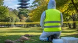 奈良で子ジカ四頭の部分欠損死体を確認