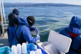 日本海で魚のDNA解析へ 回遊変化を海域で把握