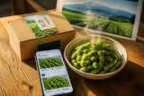 新潟産えだまめ発信強化へ 県がSNSフォト投稿でブランド品種をプレゼント
