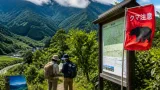 熊出没を背景に新潟の山岳遭難が減少 登山の新たな現実と備え