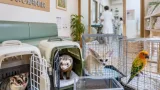 大垣で希少な「エキゾチック医療」院長、行き場失う小動物を支える