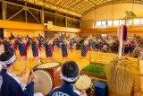 小笠原近重流の田植えばやし 三原で継承誓う拍手響く