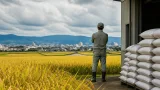大分にも影響、主食用米の増産見込みと在庫増加の懸念