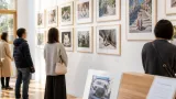 岡山の“ご当地ねこ”も登場 岩合光昭さん写真展が市内で開幕