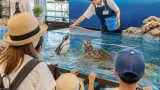 岡山・天満屋で人気のペンギン給餌「もぐもぐタイム」家族連れで賑わう