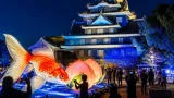 岡山城で烏城夏まつり開幕 光と音で夜の城下に夏の情景