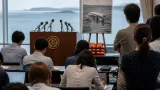 沖縄・辺野古事故受け知事が再発防止を強調 第三者報告を踏まえ対応へ