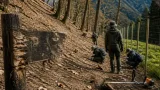 奥多摩の山林で進む環境変化 レンジャーが指摘する危機と注意点