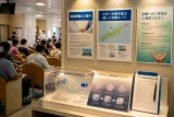 阪大の制御性Ｔ細胞拠点構想が大分にもたらす影響