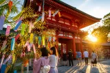 大津・近江神宮に初めての七夕飾り 参拝者が短冊に願いを託す
