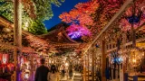 大津・寺の夏ライトアップ、風鈴の音で暑さを和らげる取り組み