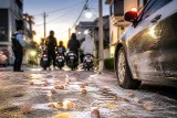 パトカーへ卵・消火器噴射 １０代ら６人を逮捕
