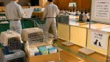 避難所でのペット同行を現実に 仁愛大生が実務的マニュアル整備を推進