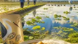 れんこんカレーが伝える徳島の「共生」の取り組み