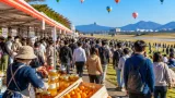 県の産品を会場で直売 バルーンフェスタに「うまかもん市場」出店へ