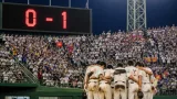 佐賀商、接戦惜敗も粘りと応援で胸を張る