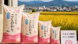 さくら市産コシヒカリ、さとふる限定パッケージで寄付受付開始