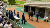 札幌競馬での落馬負傷、１６日出走の騎手が乗り替わりに