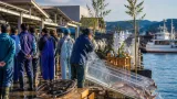 佐世保魚市場で豊漁願いのタイ放流と魚供養祭