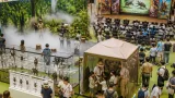 仙台・泉で家族向け「闘う昆虫展」 夏休みの体験型イベント
