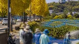 滋賀で観測史上最も遅い真夏日 彦根・甲賀で30度超