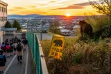 新ひだか町でヒグマ注意報 市街地近くで学校付近の目撃も報告