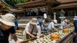 白石磨き、参拝者参加で本殿周辺の美化と保存を図る