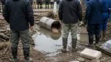 捕獲トラブル：雫石町がクマを溺死させ駆除、県が注意