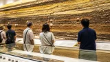 静岡で県内初の奈良時代「正倉」出土 地層パネルを公開