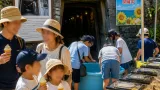 鯛生金山、坑内で夏の企画再開 名物ソフトも復活し家族連れに呼び掛け
