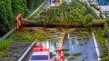 東北道下りで倒木が全車線塞ぐ 復旧の見通し立たず、被害は確認されず