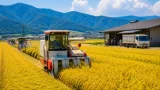徳島・阿南で早期の稲刈り始まる 「ハナエチゼン」収穫本格化