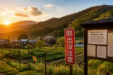 都、ツキノワグマ狩猟を約20年ぶりに解禁へ