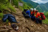 東京・檜原の都民の森でクマ遭遇、登山者が滑落し顔にけが