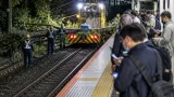 東京発着の宇都宮線、倒木で運転見合わせ——影響と対応