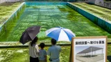 鳥取・かにっこ館の屋外プール大量藻発生 屋根設置へ資金募る